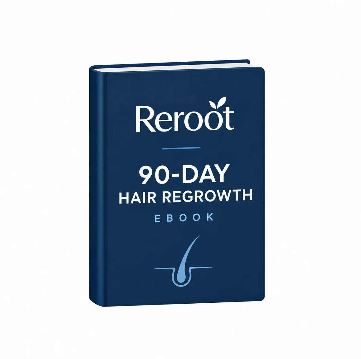 90 Day Hair Regrowth Ebook