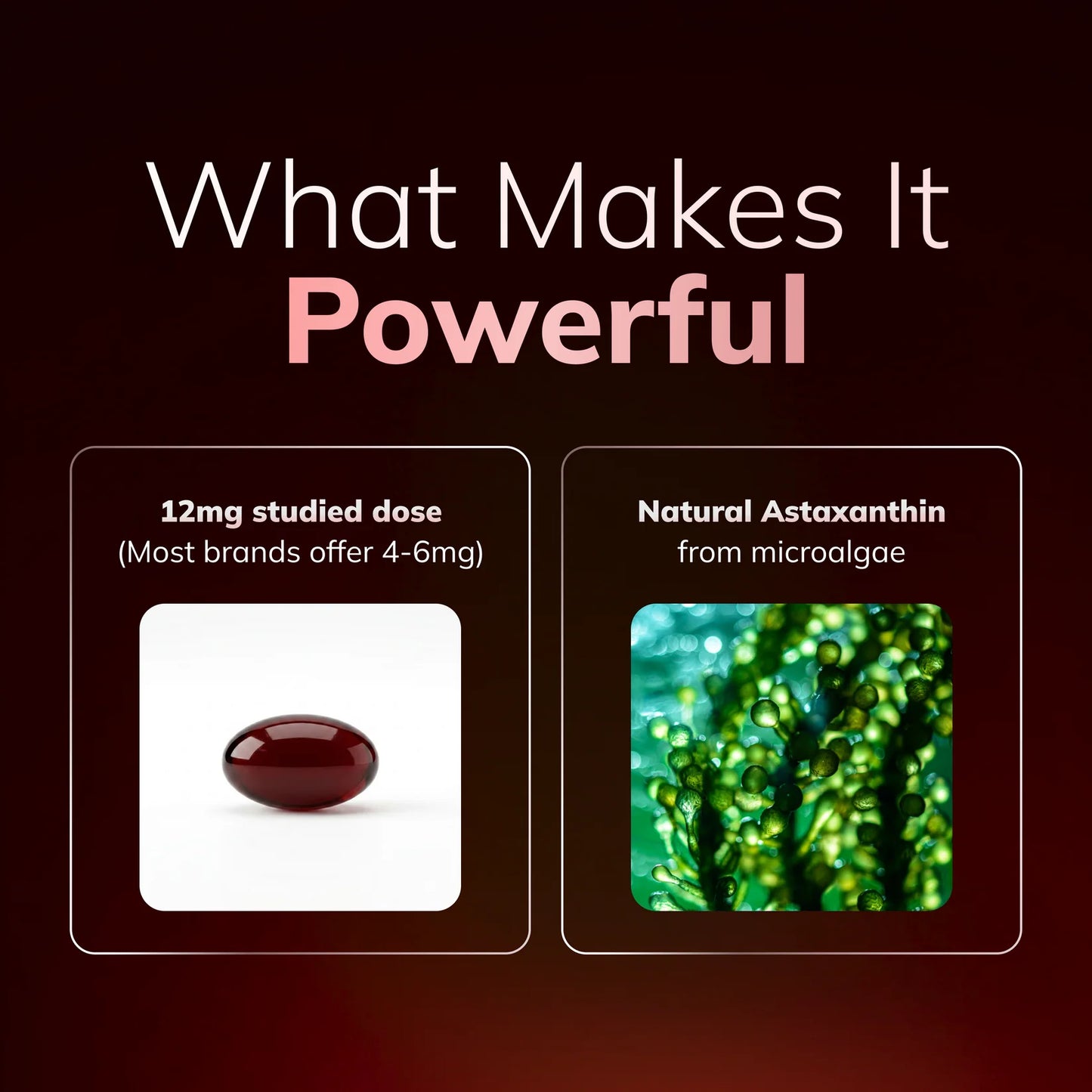 Marva Astaxanthin | 12MG softgels